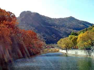 澳门二四六天天彩图库，塑胶市场